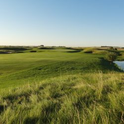#8 Green from right rough