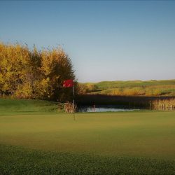 #17 Green