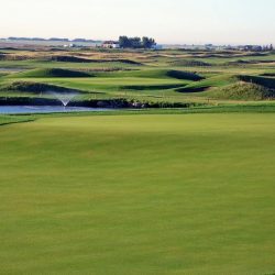 #18 Green