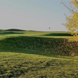 #2 Green